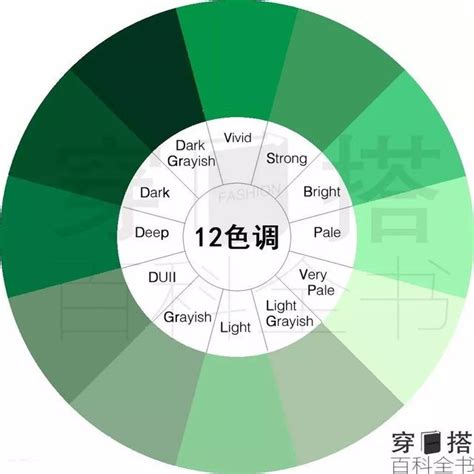 綠色代表意義|各種顏色的意義寓意、色彩象徵與代表意思（最新總整理）－小雨。